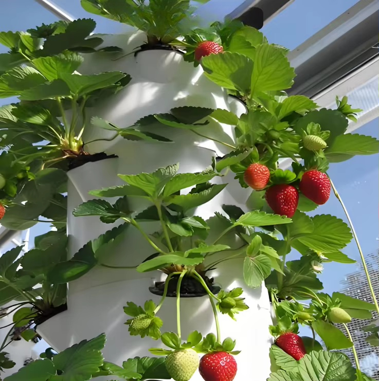 Modulair hydroponisch groeisys - Urban Farming Gardening recensie en prijs